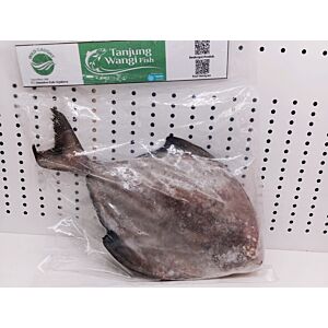 Ikan Bawal Hitam 0.8-1.0