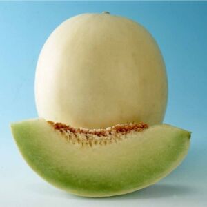 Melon Honey Globe